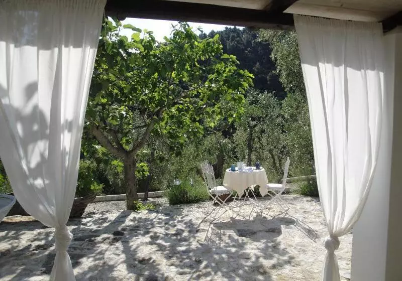 Aamiaismajoitus (B&B) Shanti