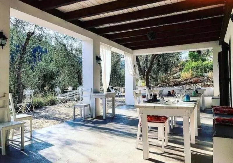 Aamiaismajoitus (B&B) Shanti