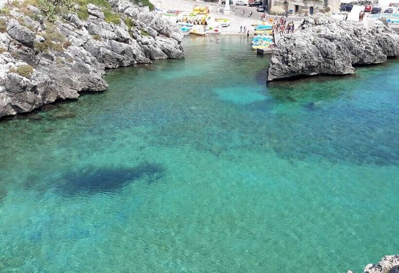 Bed and Breakfast Villetta Orchidea