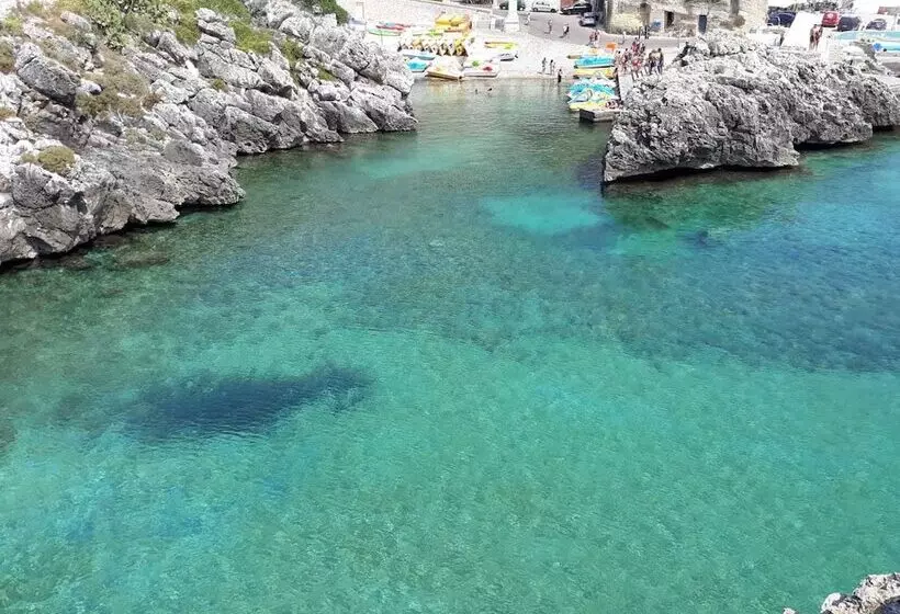 Aamiaismajoitus (B&B) Villetta Orchidea