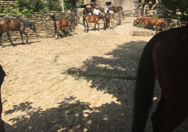 Centro Trekking A Cavallo Monte Brugiana