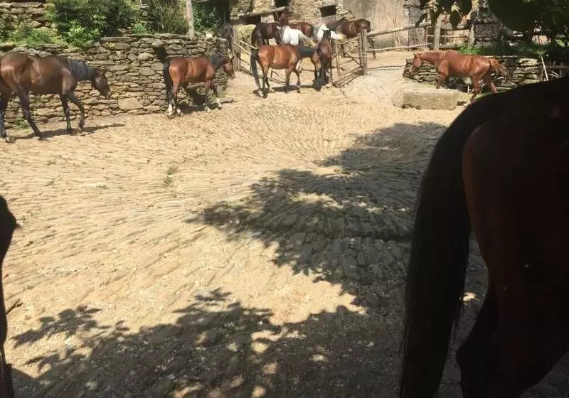 Centro Trekking A Cavallo Monte Brugiana