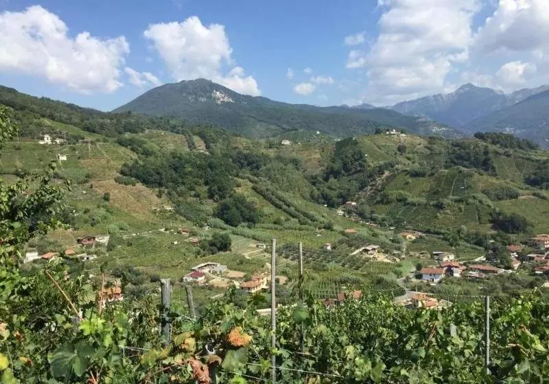 Centro Trekking A Cavallo Monte Brugiana
