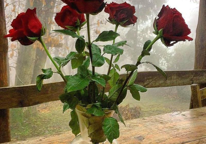 Centro Trekking A Cavallo Monte Brugiana