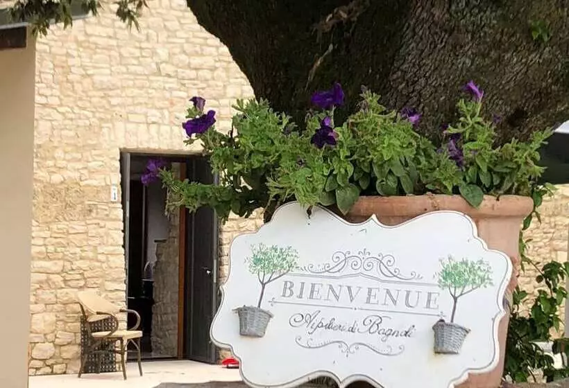 Maaseutuhotelli Ai Pilieri Di Bagnoli