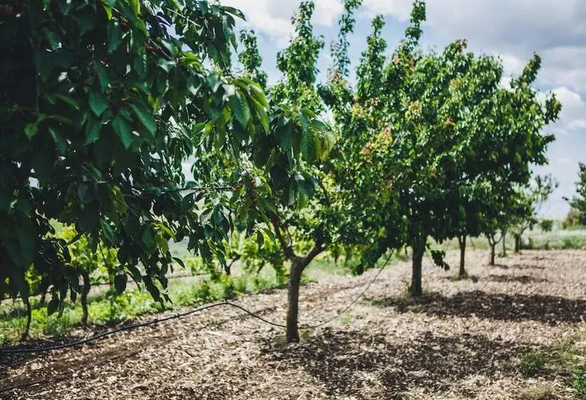Maaseutuhotelli Ai Pilieri Di Bagnoli