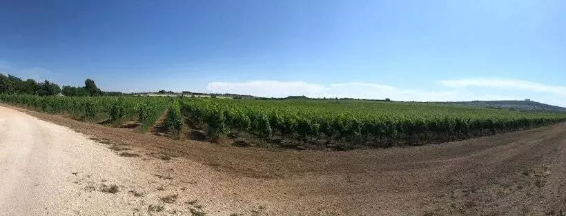 Maaseutuhotelli Ai Pilieri Di Bagnoli