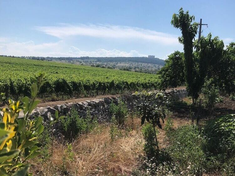 田舎風ホテル Ai Pilieri Di Bagnoli