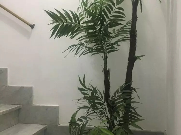 ペンション Affittacamere La Traversa