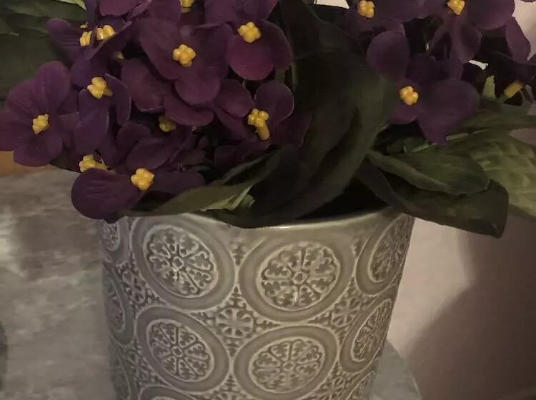 Majatalo B&b Meliora Rooms