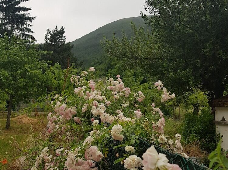 פנסיון Note D Acqua