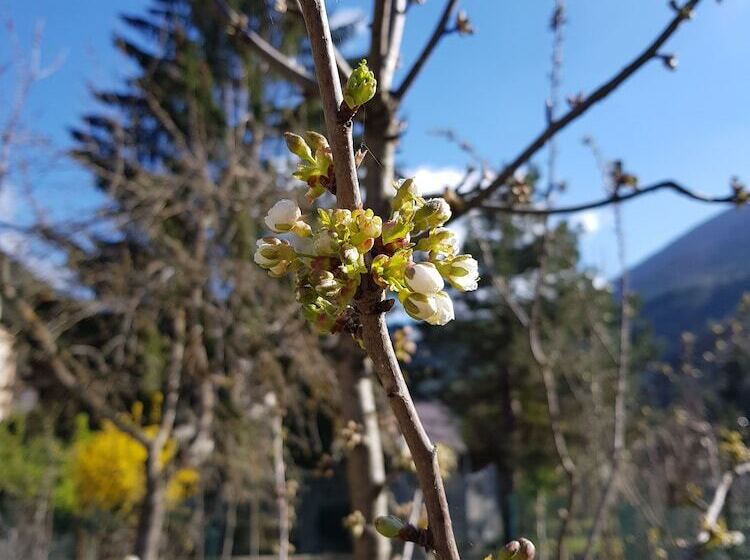 פנסיון Note D Acqua