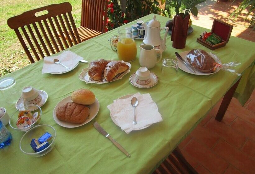 B&b Il Vigneto Tuscania