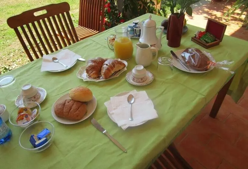 B&b Il Vigneto Tuscania