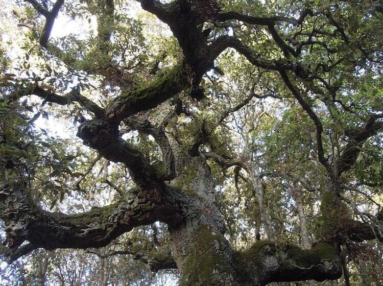 مبيت وإفطار Casa Solotti