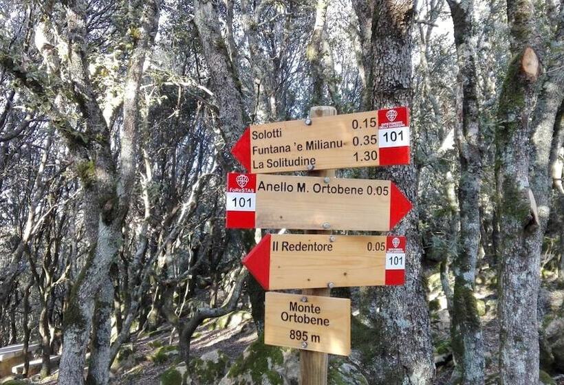 مبيت وإفطار Casa Solotti