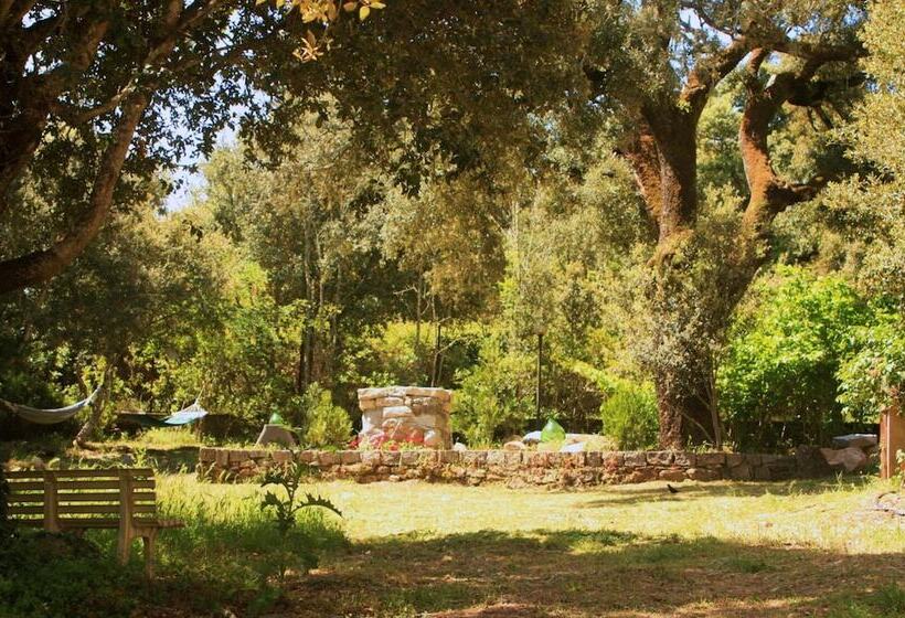 مبيت وإفطار Casa Solotti