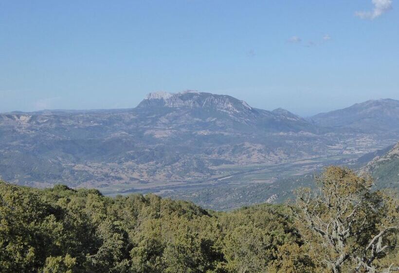 مبيت وإفطار Casa Solotti