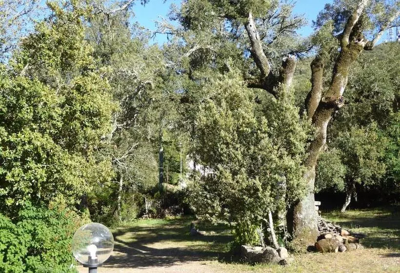 Aamiaismajoitus (B&B) Casa Solotti