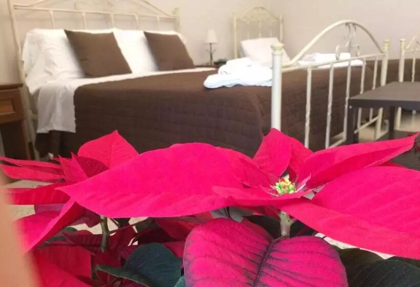 Aamiaismajoitus (B&B) Le Stanze Dell Emiro