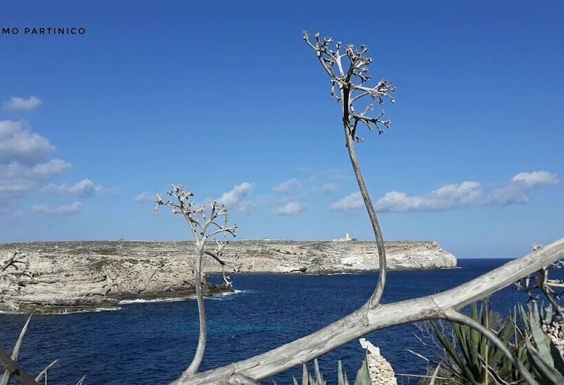 Bed & Breakfast Plaza