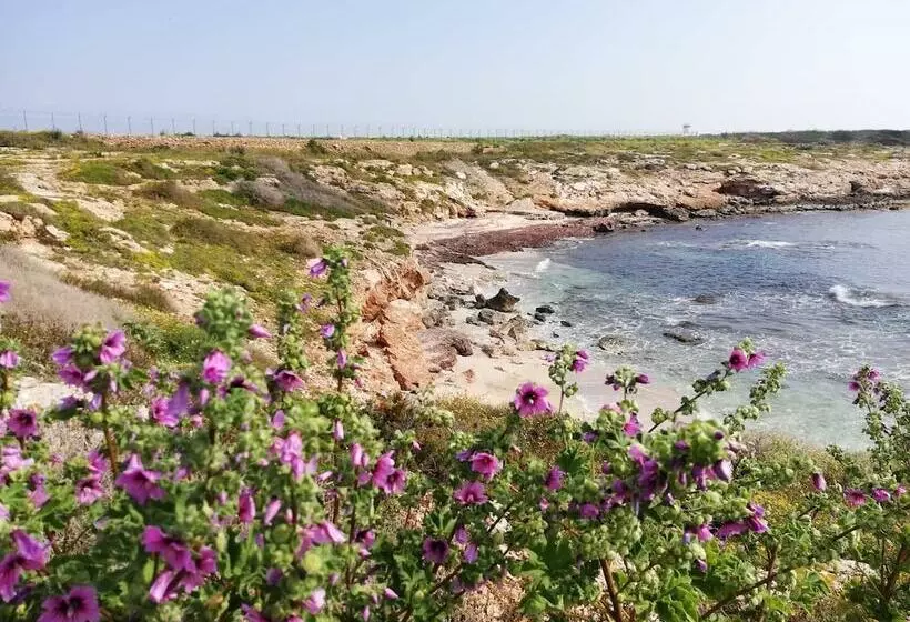 Bed & Breakfast Plaza