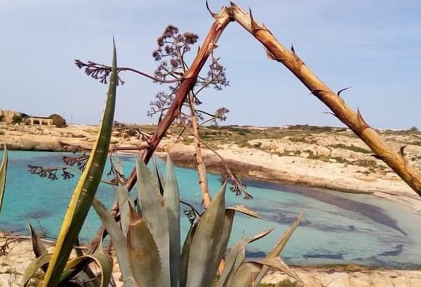 Bed & Breakfast Plaza