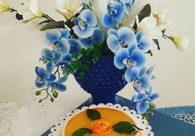 Bed & Breakfast Plaza