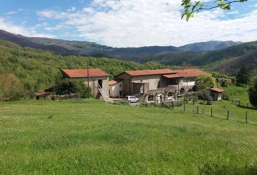 בית מלון כפרי Agriturismo Cà Del Lupo