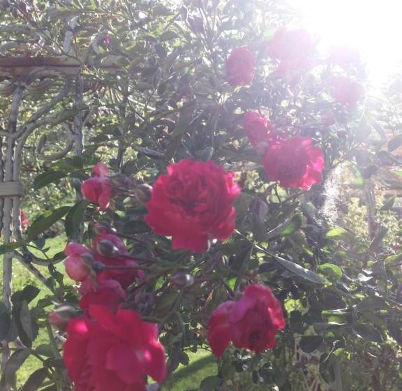בית מלון כפרי Agriturismo Cà Del Lupo