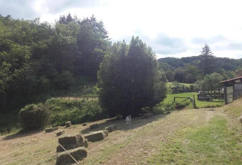 בית מלון כפרי Agriturismo Cà Del Lupo