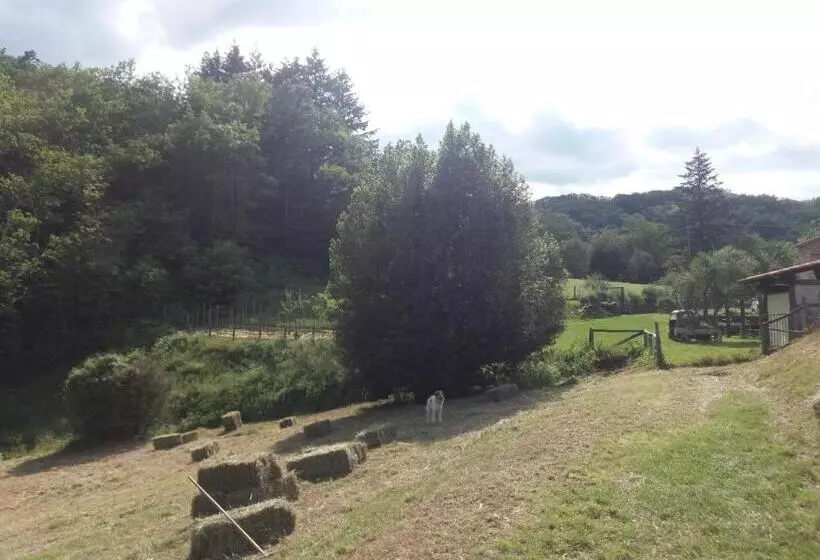 田舎風ホテル Agriturismo Cà Del Lupo