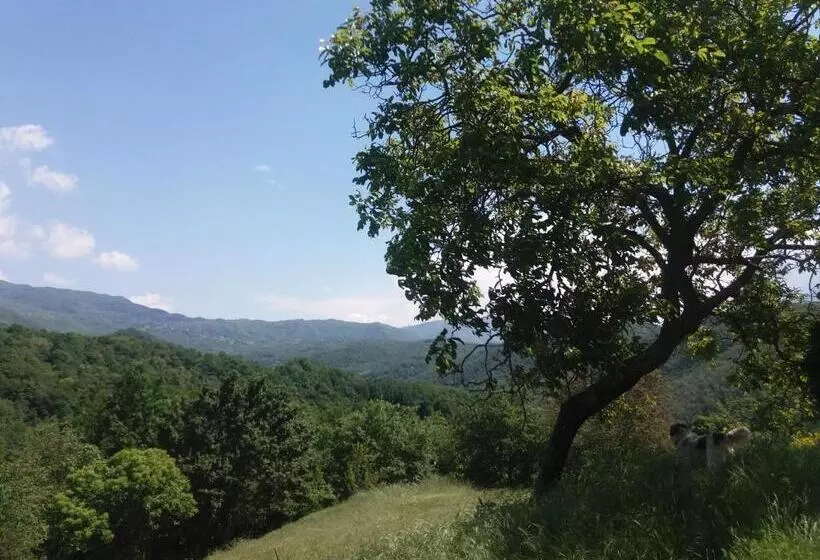 田舎風ホテル Agriturismo Cà Del Lupo
