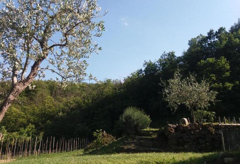 בית מלון כפרי Agriturismo Cà Del Lupo