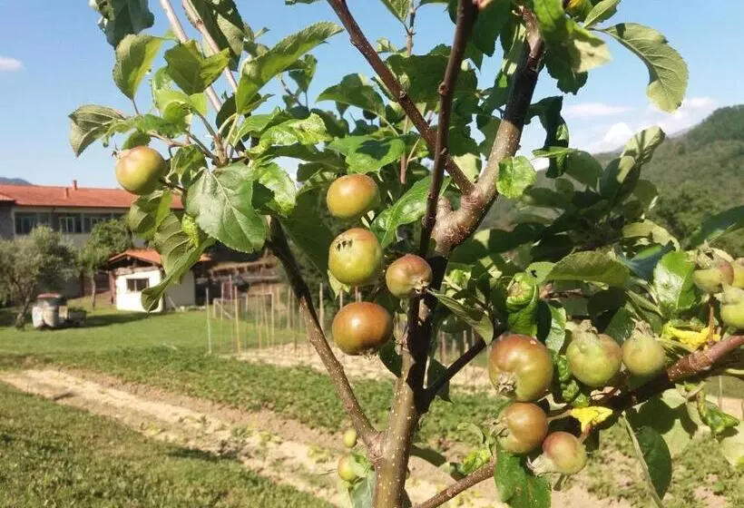 田舎風ホテル Agriturismo Cà Del Lupo