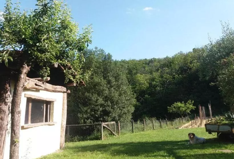田舎風ホテル Agriturismo Cà Del Lupo