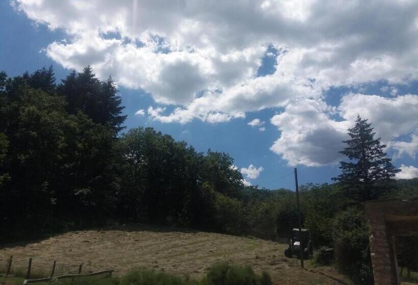 בית מלון כפרי Agriturismo Cà Del Lupo