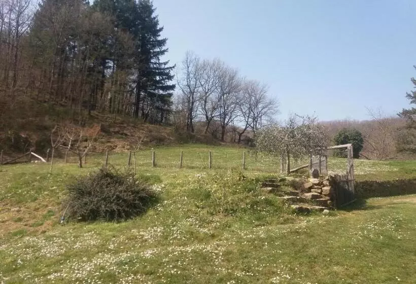 田舎風ホテル Agriturismo Cà Del Lupo