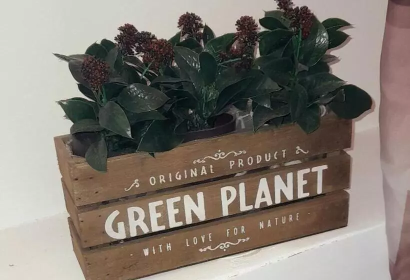 ペンション B&b La Fenice