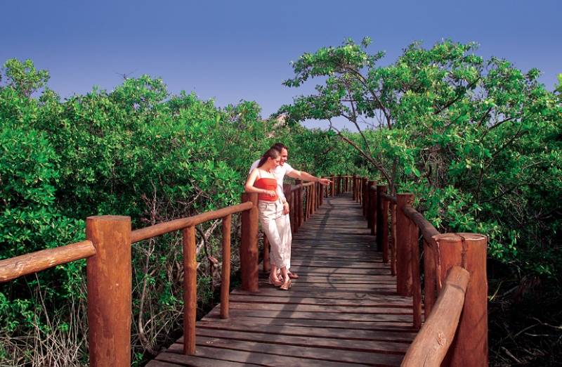 Grand Palladium Colonial Resort & Spa - All Inclusive