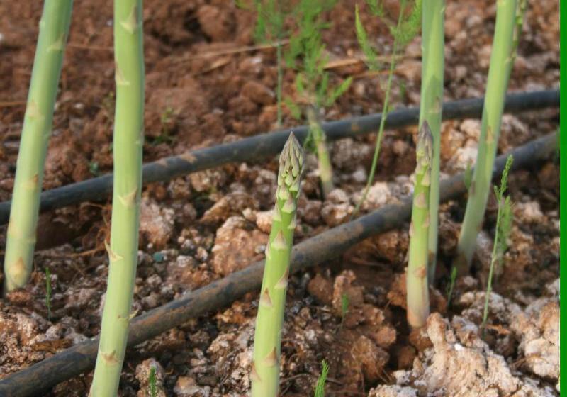 Agriturismo Su Siddaddu
