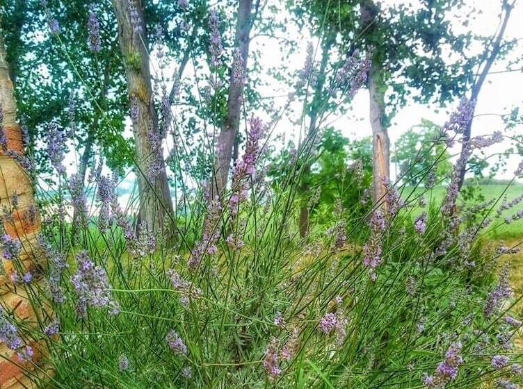 민박 Borgo Acque Romane