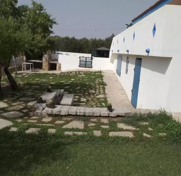 ベッドアンドブレックファースト Daillu