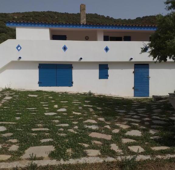 ベッドアンドブレックファースト Daillu