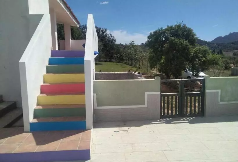 ベッドアンドブレックファースト Daillu