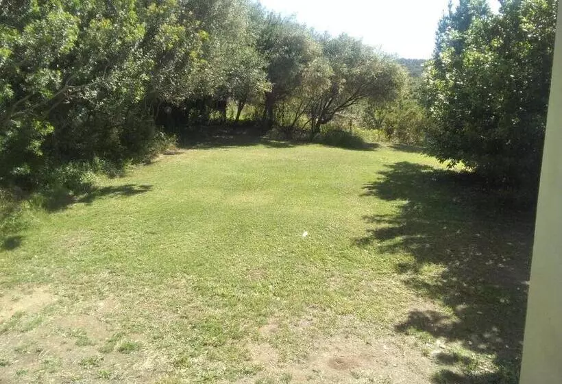 ベッドアンドブレックファースト Daillu