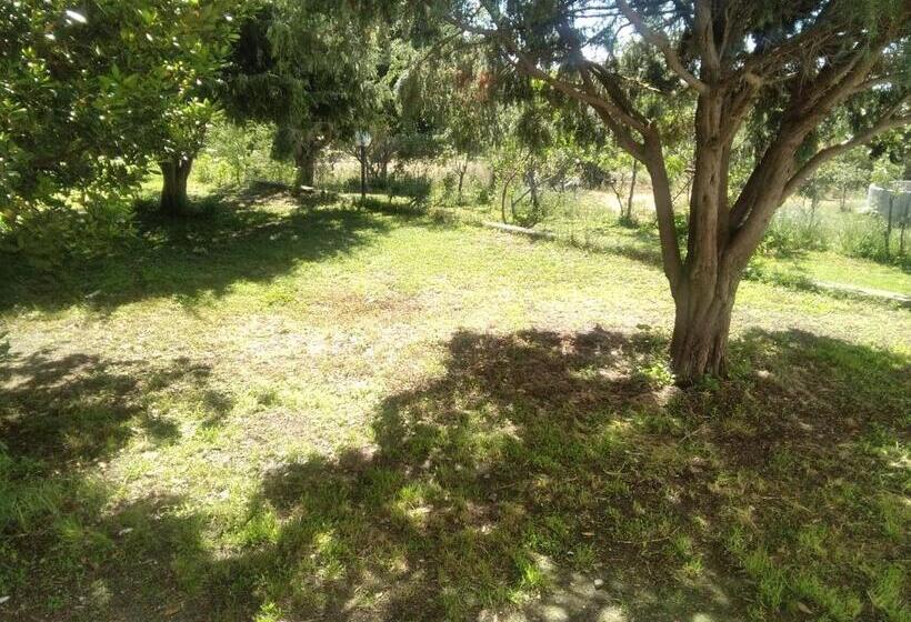 ベッドアンドブレックファースト Daillu