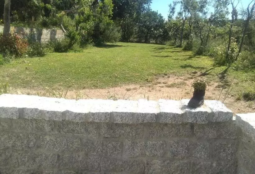 ベッドアンドブレックファースト Daillu