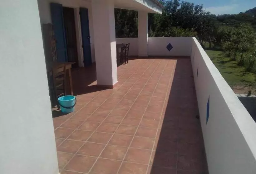 ベッドアンドブレックファースト Daillu