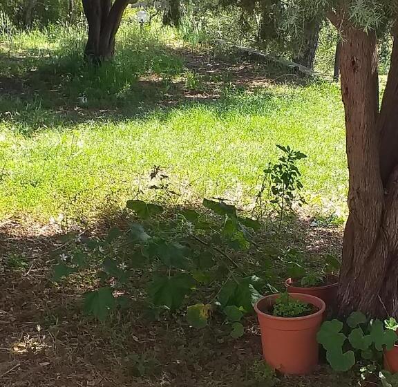 ベッドアンドブレックファースト Daillu